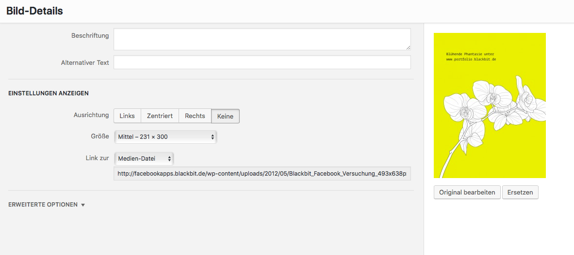 wordpress bild bearbeiten 2